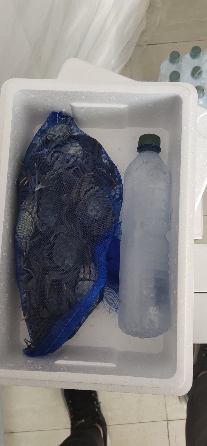 【现货】社区团购盘锦河蟹批发供货大闸蟹保肥电商供应以订制