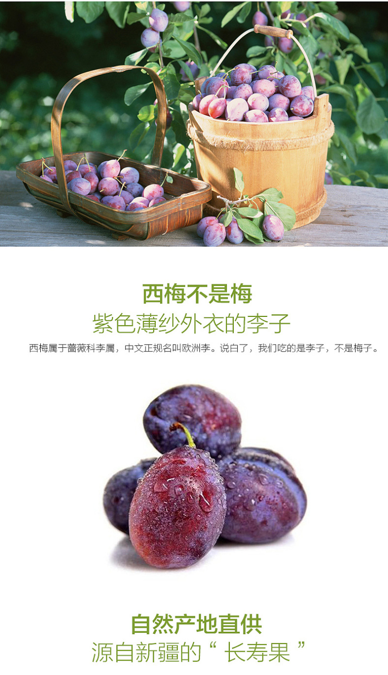 顺丰包邮~新疆喀什法兰西西梅精品果，疆无季品牌3斤4斤装