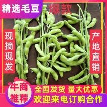 四川彭州精品毛豆大量上市了：自有一条清洗生产线，冻库！