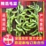 四川彭州精品毛豆大量上市了：自有一条清洗生产线，冻库！