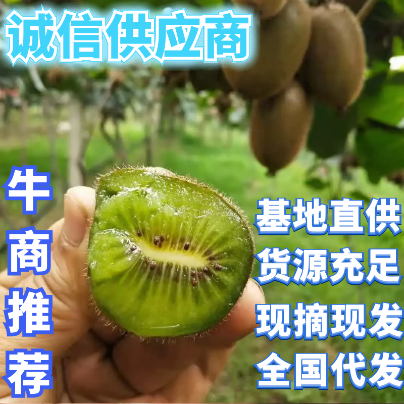 陕西徐香猕猴桃，桃果皮薄，口感酸甜，现摘现发，一条龙服务！