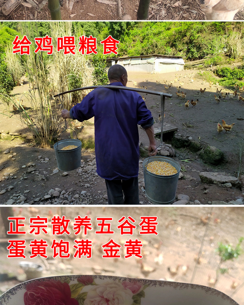 【一件代发】农家土鸡蛋