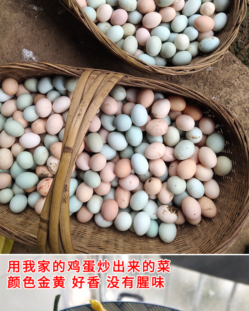 【一件代发】农家土鸡蛋