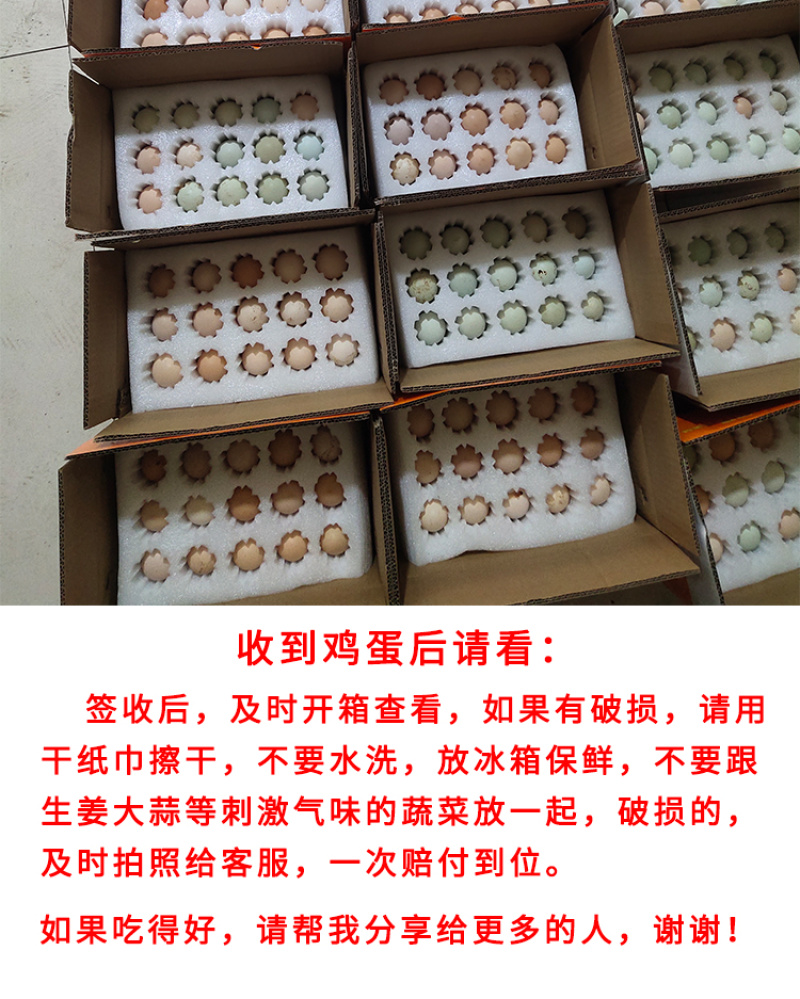 【一件代发】农家土鸡蛋