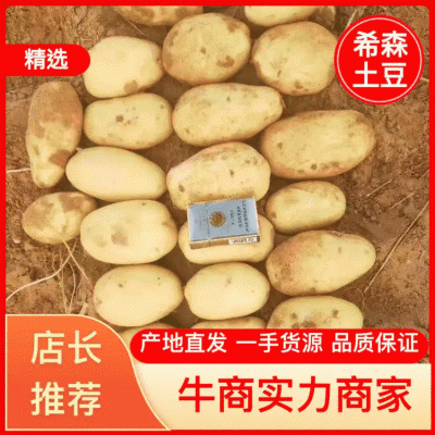 陕西土豆榆林定边希森6号土豆产地直供一手货源批发全国发货