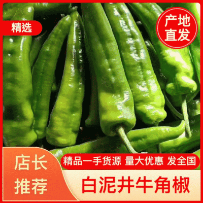 陕西榆林定边牛角椒产地直发一手货源批发品质保证价格美丽