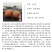 大五星枇杷苗大五星枇杷树苗新品种嫁接枇杷苗
