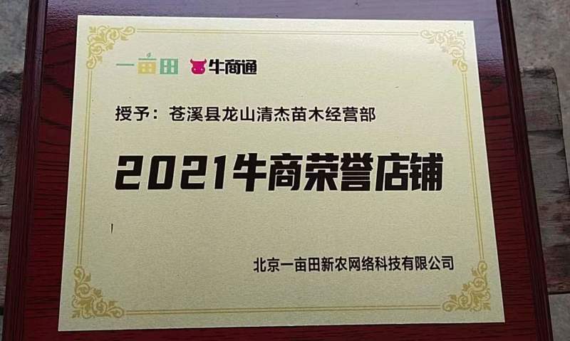 四川苍溪县蜂糖李子苗现挖现发规格齐全品种纯正免费指导