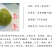 黄金奈李苗黄金奈李子苗奈李树苗油奈青奈黄金李苗