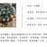 沙糖桔苗无籽早熟砂糖橘树砂糖桔树苗沙糖桔柑橘苗