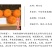 明日见柑橘苗新品种阿斯蜜晚熟柑桔苗兴津浙江新山苗场