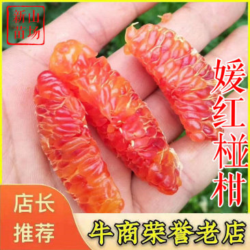 媛红碰柑苗缘红媛红椪柑红肉碰柑苗明日旺
