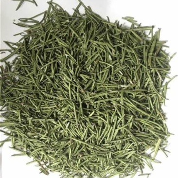 云南高原迷迭香干叶优质高含量