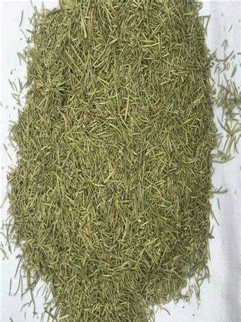 云南高原迷迭香干叶优质高含量