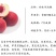 油桃苗珍珠枣油桃曙光早红宝石白肉黄肉油桃树苗
