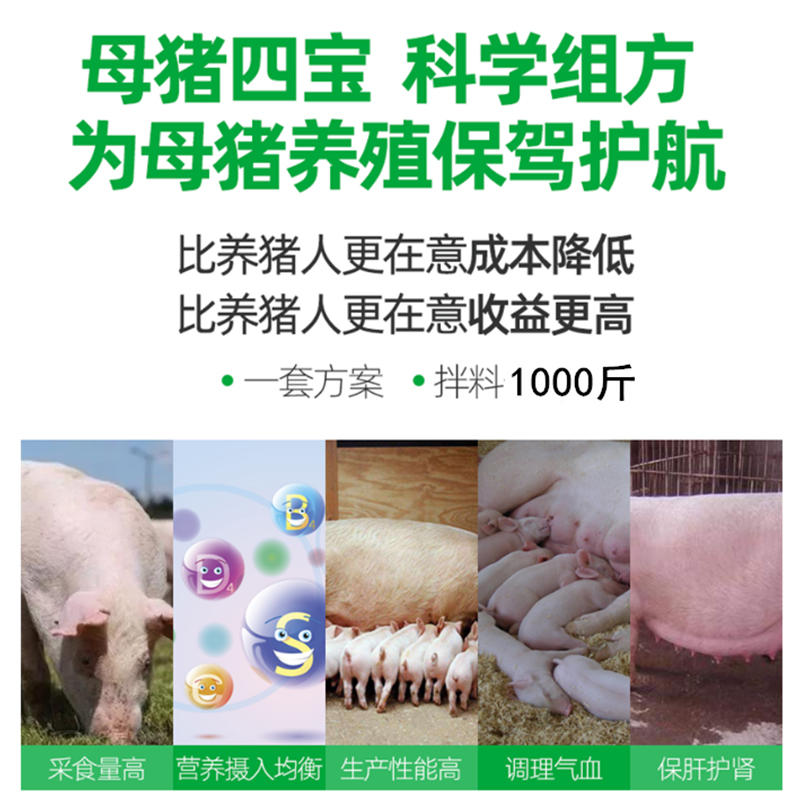母猪四宝母猪营养保健饲料套餐母猪4宝多产仔猪母猪营养