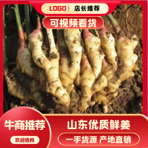 【热卖】生姜山东优质鲜姜大黄姜，小黄姜，全国发货