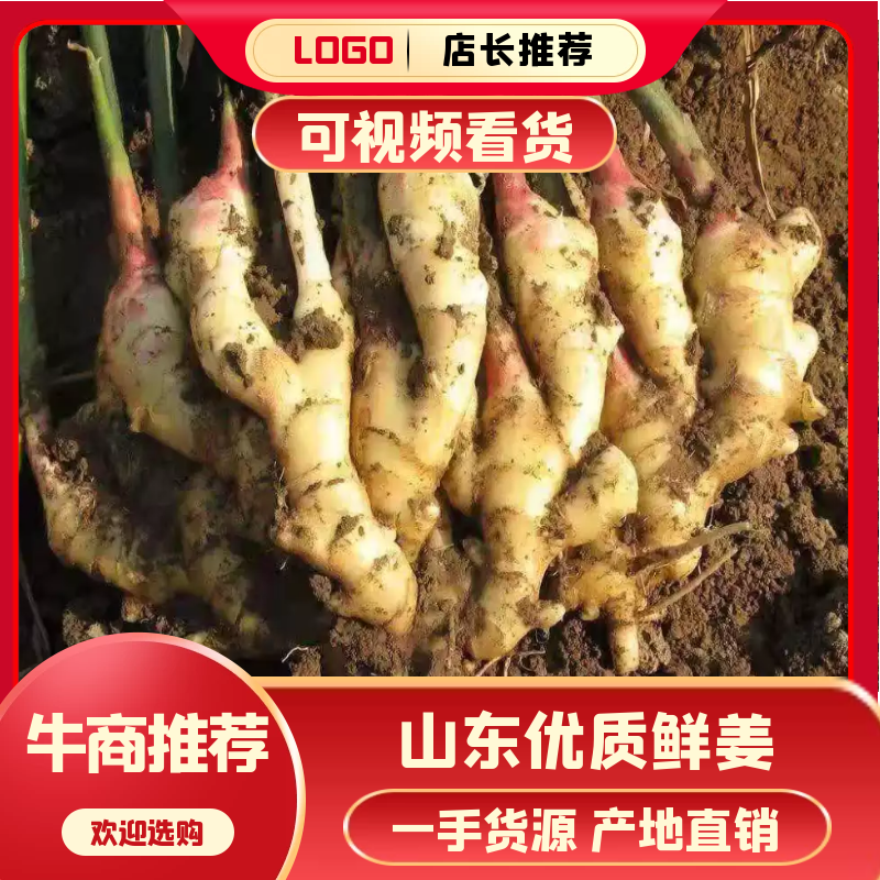 【热卖】生姜山东优质鲜姜大黄姜，小黄姜，全国发货