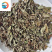 薄荷薄荷绿色统段药味浓郁地道药材实物拍摄