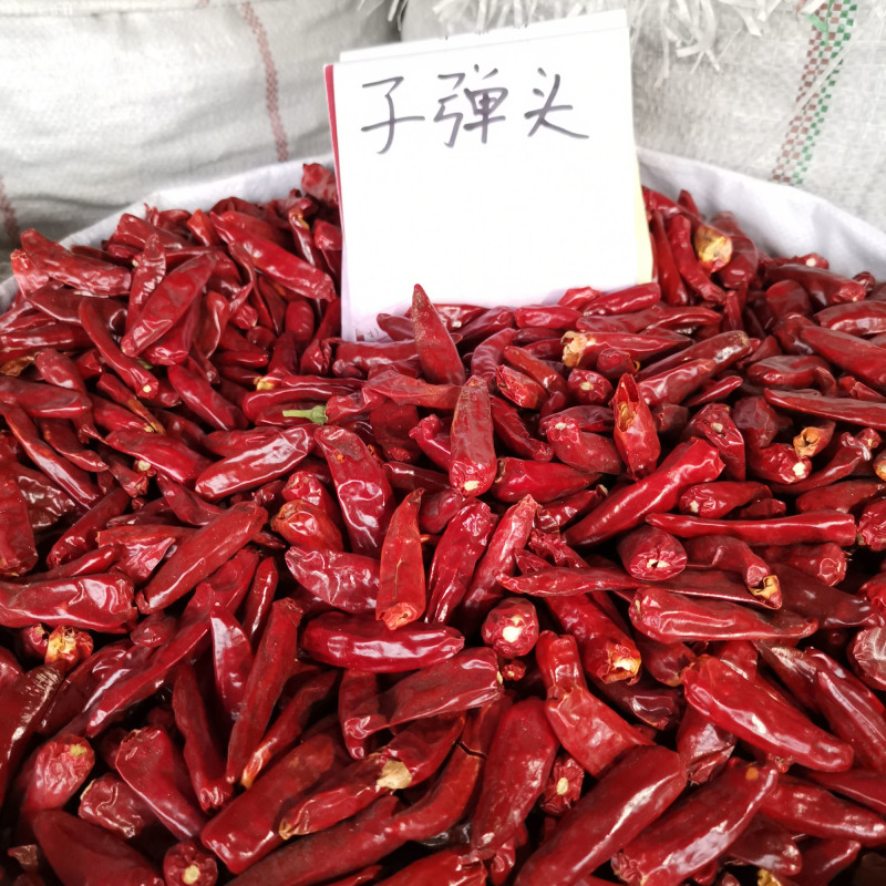 河南子弹头干辣椒香辣产地干辣椒味辣香辣子弹头干辣椒火锅