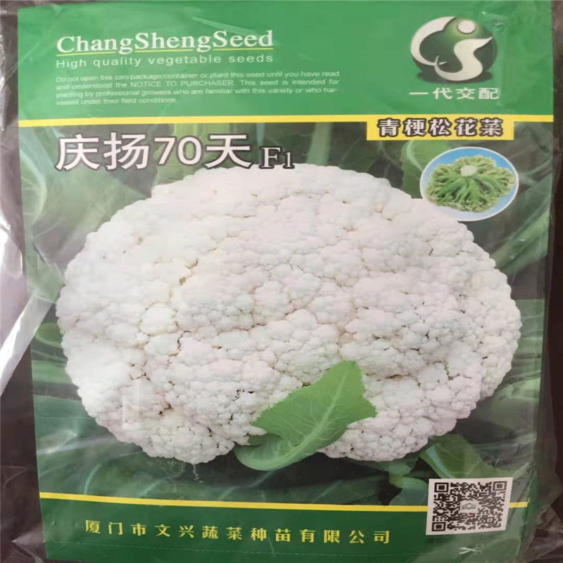 庆杨80天70天有机花菜种子台湾青梗松花菜种子花松花籽