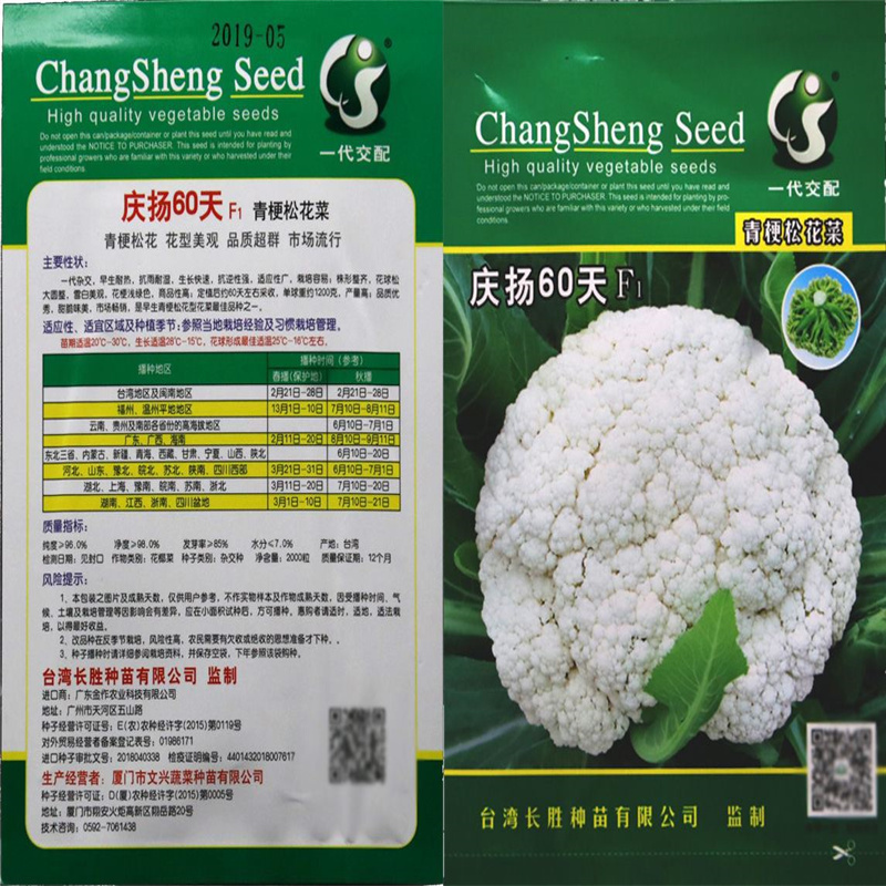 庆杨80天70天有机花菜种子台湾青梗松花菜种子花松花籽