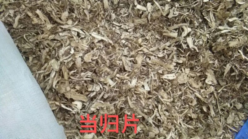 供应当归干货--甘肃陇南基地直供