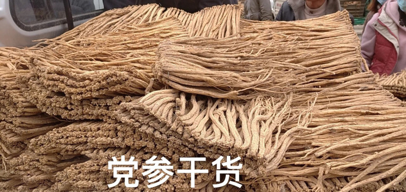 供应2023年党参干货-甘肃陇南基地农户一手货源直供