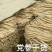 供应2023年党参干货-甘肃陇南基地农户一手货源直供