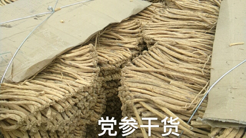 供应2023年党参干货-甘肃陇南基地农户一手货源直供