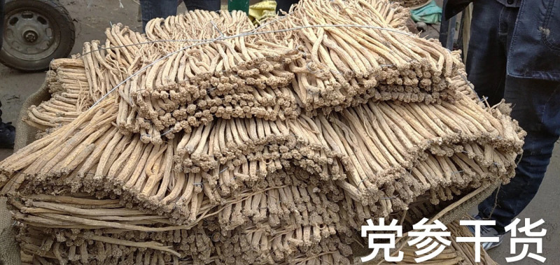 供应2023年党参干货-甘肃陇南基地农户一手货源直供