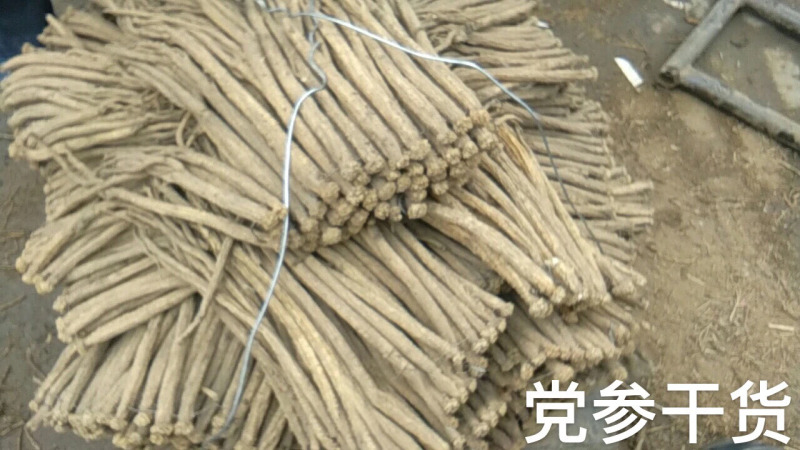 供应2023年党参干货-甘肃陇南基地农户一手货源直供