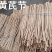 供应干货黄芪--甘肃陇南基地直发