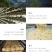 杜鹃古田无根银耳110g无熏硫精选新货白木耳糯银耳