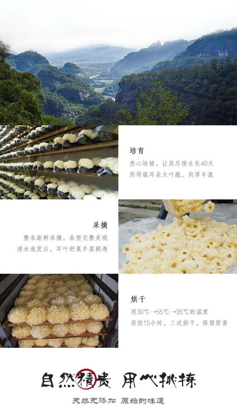 杜鹃古田无根银耳110g无熏硫精选新货白木耳糯银耳