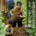 恩施市富硒马尔科小土豆产自世界硒都，欢迎电商咨询合作。
