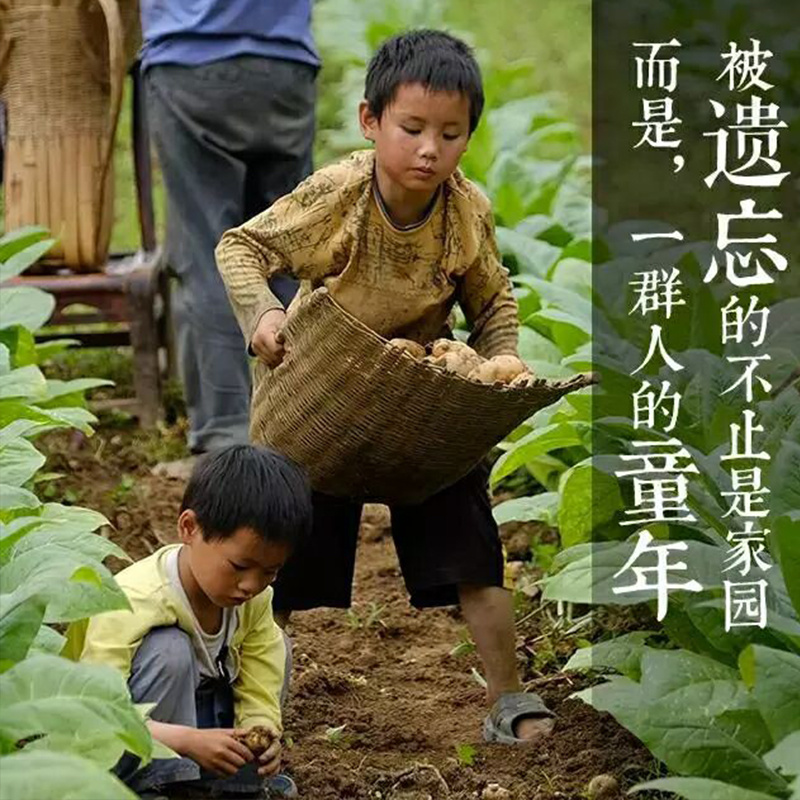 恩施市富硒马尔科小土豆产自世界硒都，欢迎电商咨询合作。