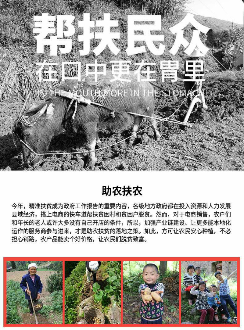 恩施市富硒马尔科小土豆产自世界硒都，欢迎电商咨询合作。