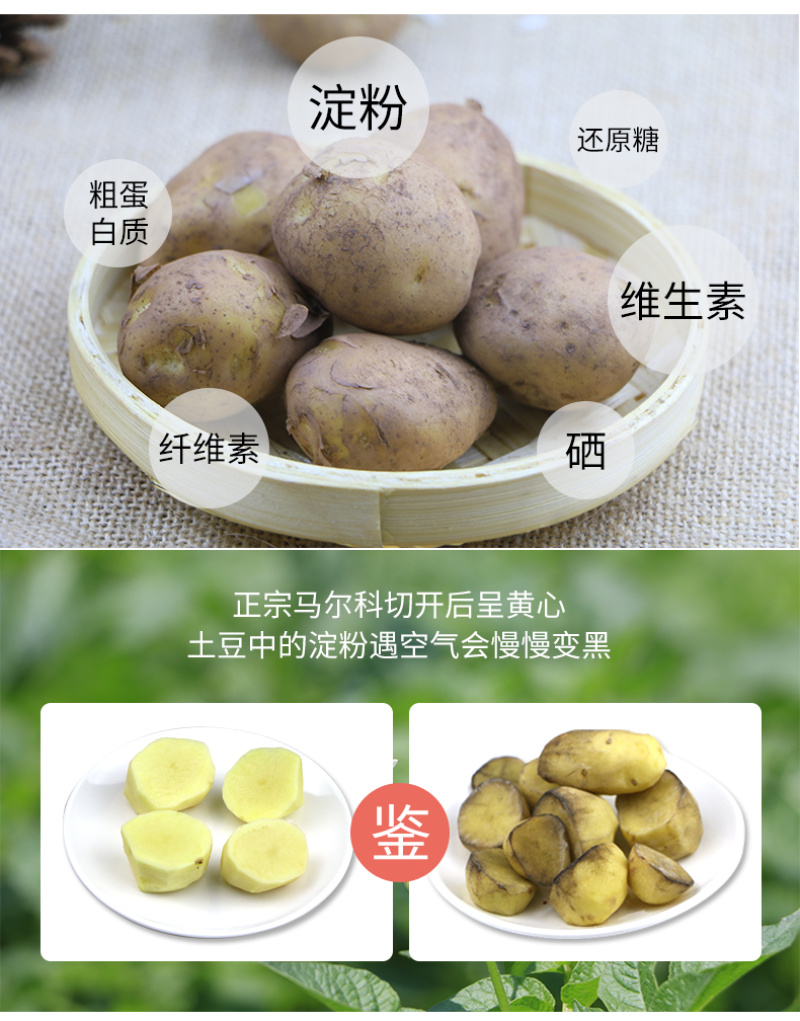 恩施市富硒马尔科小土豆产自世界硒都，欢迎电商咨询合作。