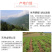 恩施市富硒马尔科小土豆产自世界硒都，欢迎电商咨询合作。