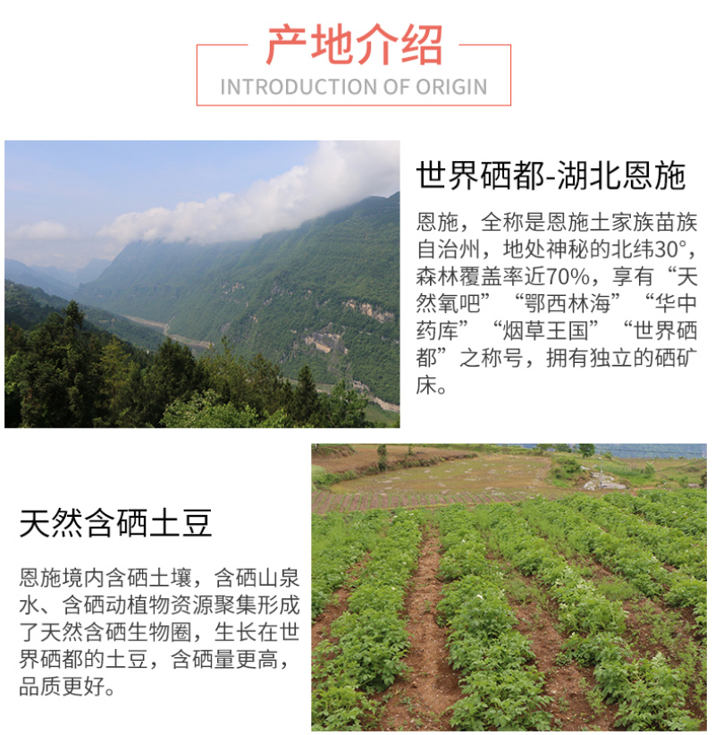 恩施市富硒马尔科小土豆产自世界硒都，欢迎电商咨询合作。