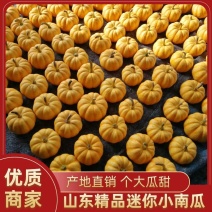 【桔瓜】太阳果迷你小南瓜色泽靓丽瓜形周正代发全国