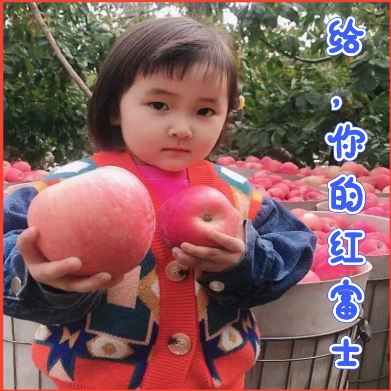 苹果红富士苹果产地直销价优货源充足欢迎联系
