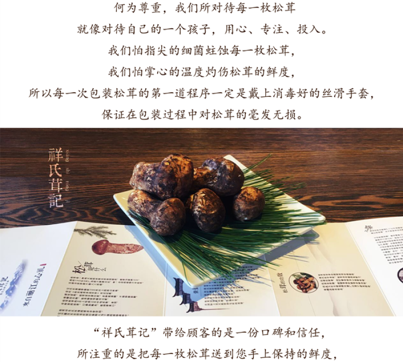 【现摘现发】新鲜野生松茸云南香格里拉特产顺丰空运