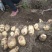 河北土豆【原产地直供】冀张226土豆现货供应物美价优