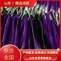精品红线茄产直大量有货，质量保证货源新鲜，物流全国