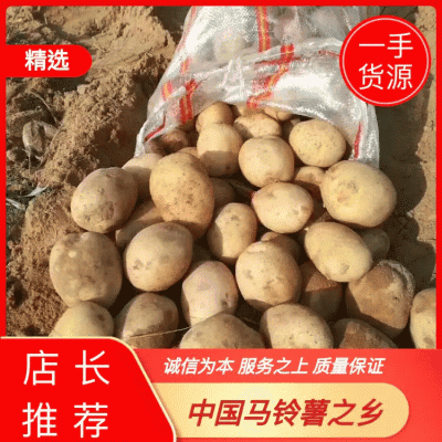 陕西榆林定边黄心土豆产地直供，皮毛好一手货源全国发货，