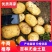 尤金土豆杠三七土大量上市中基地直供支持视频看货欢迎联系
