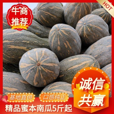 云南弥勒蜜本南瓜4~5斤以上长条形价格优惠欢迎联系