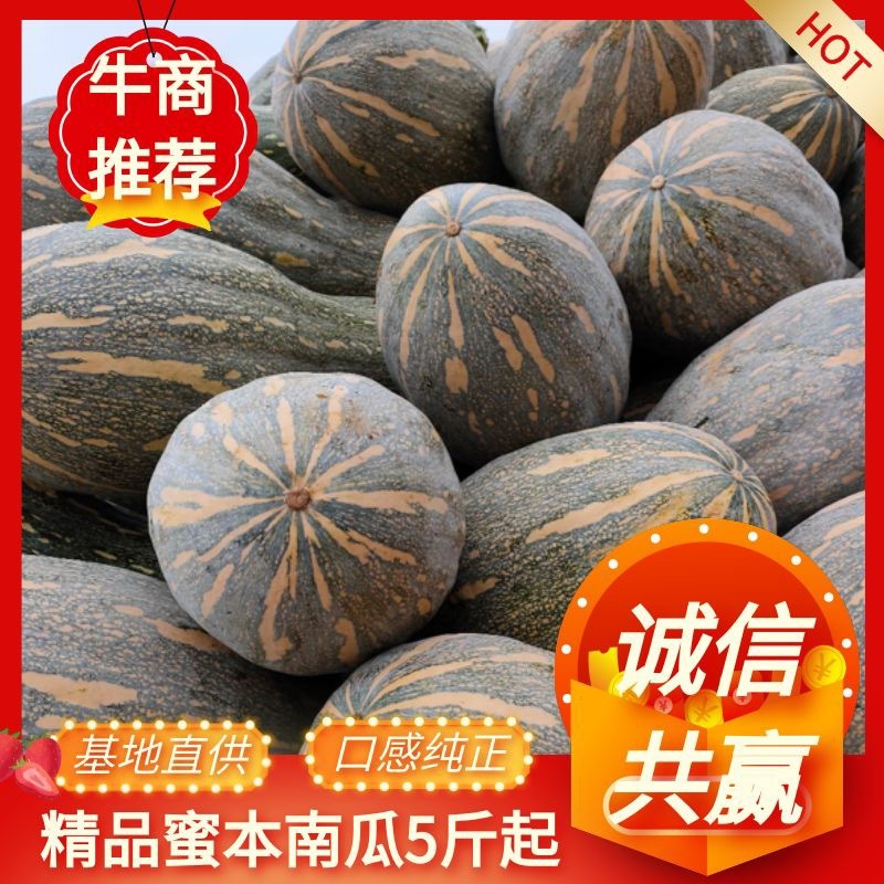 云南弥勒蜜本南瓜4~5斤以上长条形价格优惠欢迎联系